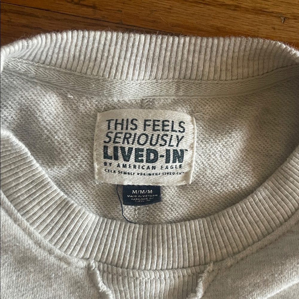 American Eagle Outfitters Light Gray Sweatshirt